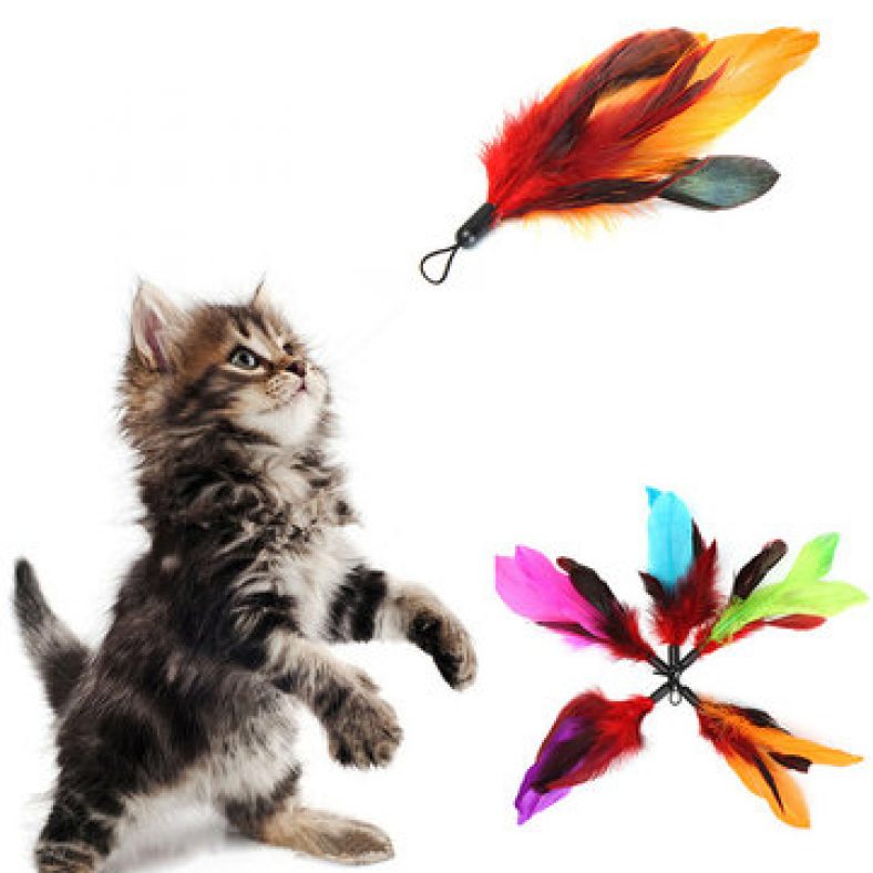 cat toy feather refill