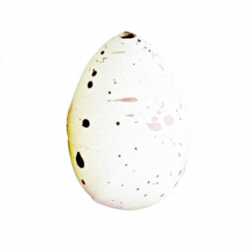 Growing Dinosaur Eggs Hatching Toys Water Kids Educational Novelty