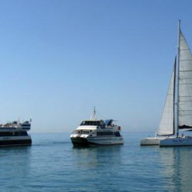 Dorimar II – Pirate Cruise