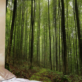 Forest Trees Print Tapestry Wall Hanging Art Decoration