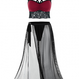 Plus Size Lace Panel Cutout Top and Mesh Sheer Lingerie Skirt Set