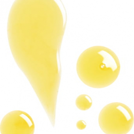 Age Confidence Facial Oil Echium & Amaranth