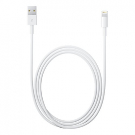 Apple MD818AM/A Lightning to USB Cable (1 m)