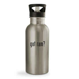 got ram? – 20oz Sturdy Stainless Steel Water Bottle, Silver