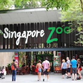 Singapore Zoo