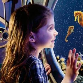 Palma Aquarium Mallorca – Duo Pack