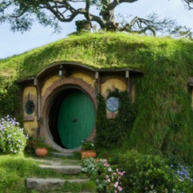 Hobbiton Movie Set Tour