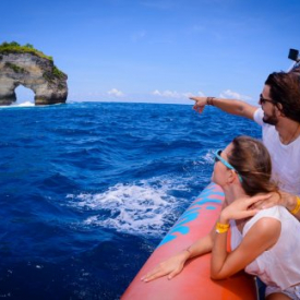 Castaway Escape Cruise with Aristocat