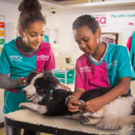 Original London Sightseeing Tour + KidZania London