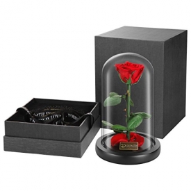 “Beauty and the Beast” Rose Enchanted Rose, DEFAITH 9″ x 6″ Preserved Real Fresh Rose with Fallen Petals in Glass Dome, Special Valentines Day and Anniversary Gift for Her