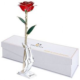 Red Gold Rose w/ Stand for Valentines Day, DEFAITH 24K Gold Rose Made of Real Fresh Rose. Last a Lifetime. Great Valentines Day Gifts and Anniversary Gifts for Her. Great Gift for Mother
