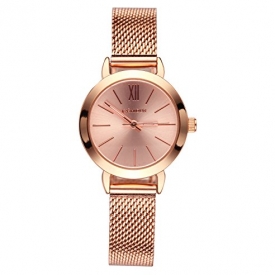 KASHIDUN Women’s Quartz Watches Wrist Watches Rose Gold Small Dial Mesh Steel Milanese Bracelet.SD-MG
