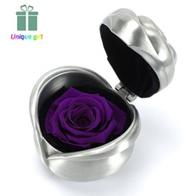 Valentines day gifts for her,Exquisite Fresh Roses Upscale Immortal Flowers Best Gifts For Mom,Gift Idea for Women Girls Sister Valentine’s Anniversary Mother’s Day Birthday,Wedding (Purple-Sliver)