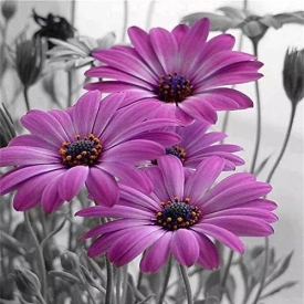 Adarl 5D DIY Diamond Painting Rhinestone Pictures Of Crystals Embroidery Kits Arts, Crafts & Sewing Cross Stitch Flower 1