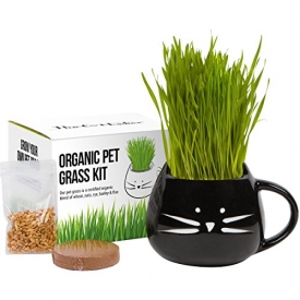 HOLIDAY GIFT SET – Organic cat grass growing kit with organic seed mix, organic soil and cat planter. Great gift for pets & pet lovers. Natural hairball control, remedy for cats. Natural digestive aid