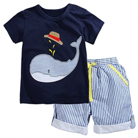 Fiream Little Boys’ Cotton Clothing Short Sets(2001TZ,2T)