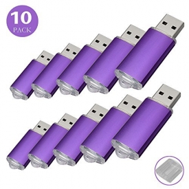 RAOYI 10 PCS 16G USB Flash Drive 16GB USB 2.0 Memory Stick Memory Drive Pen Thumb Drive Purple