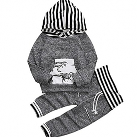 Toddler Infant Baby Boys Dinosaur Long Sleeve Hoodie Tops Sweatsuit Pants Outfit Set (18-24 Months, Grey)