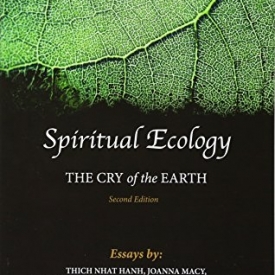 Spiritual Ecology: The Cry of the Earth