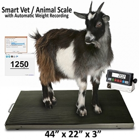 New Prime Scales PS-AS700-4422 Animal Scale / Livestock Scale / Sheep Scale / Dog Scale / Vet Scale / Pet Scale 44″x22″ 700lbx0.1lb Stainless Steel Cover with Anti-slip Mat One Year Warranty