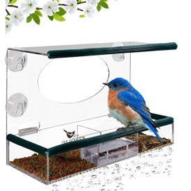 Birdious Window Bird Feeder – Enjoy Unique Watch Small & Large Birds. Clear See Through Birdhouse, Mounted By 4 Strong Suction Cups, Removable Tray, Squirrel Proof. Unusual Gifts for Kids, Bird Lovers