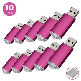 RAOYI 10PCS 4G USB Flash Drive USB 2.0 Memory Stick Memory Drive Pen Drive Pink