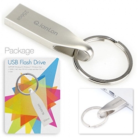 Q.ianlon USB Stick 256GB Pendrive Flash Drive Extreme High Speed – QL/u56/2