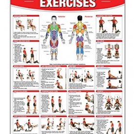 Home Gym Exercises Laminated Poster/Chart: Home Gym Chart, Home Gym Weight Lifting Routine, Weight Stack Gym Chart, BodySolid Gym Poster, … Selectorized Gym Poster, Exercises poster