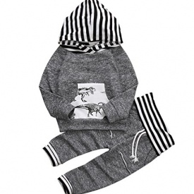 Toddler Infant Baby Boys Dinosaur Long Sleeve Hoodie Tops Sweatsuit Pants Outfit Set (0-6 Months)
