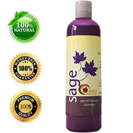 Maple Holistics Sage Shampoo for Anti Dandruff with Jojoba, Argan, and Organic Tea Tree Oil – Natural, Sulfate Free Treatment for Women and Men – Safe for Color Treated Hair ( 8 fl. oz.)