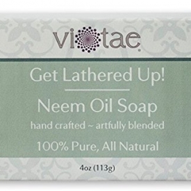 Vi-Tae 100% Natural and Organic Handmade ‘Get Lathered Up’ 4oz Soap Bars (Neem, 1 pack)