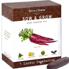 Exotic Vegetables Growing Kit – 5 Unique Plants to Grow From Seed: Purple Carrots, Blue Corn, Yellow Cucumber, Rainbow Chard & Broccoli. Garden Gift for Children – Fun Gardening Set For Boys & Girls