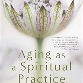 Aging as a Spiritual Practice: A Contemplative Guide to Growing Older and Wiser