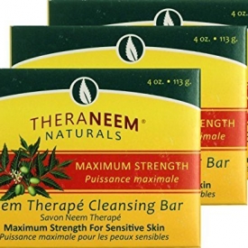 Organix South Maximum Strength Neem Soap Bar 4 oz – Three (3) bars