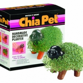 Chia Pet Handmade Decorative Planter, Puppy, 1 Kit
