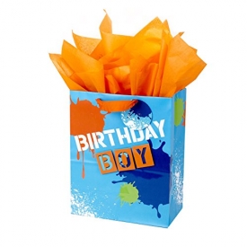 Hallmark Large Birthday Gift Bag with Tissue Paper (Birthday Boy)