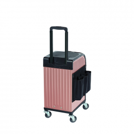 Sibel Rollercoaster Stool Case Rose Gold