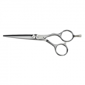 saiza scissors tarantula 5.5″