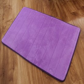 Soft Absorbent Coral Velvet Carpet