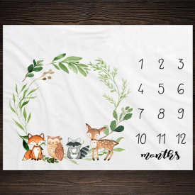 Baby Milestone Blanket Photography Prop