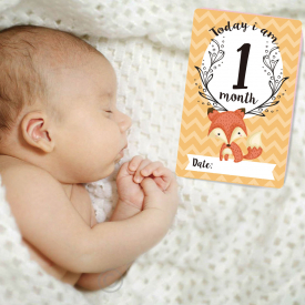 12 Pieces Newborn Baby Milestone Stickers Photography Set of 12 Baby Souvenir Monthly Sticker