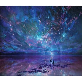 Blxecky 5D DIY Diamond Painting By Number Kits，Night sky(16X12inch/40X30CM)