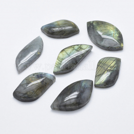 Natural Labradorite Cabochons, Leaf, 16~25×36~42.5×6~9.5mm