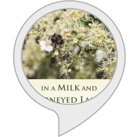 Hill Country the novel