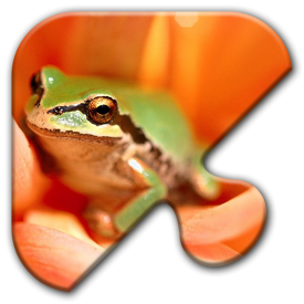 Epic Jigsaw Puzzles Game