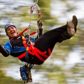 Otway Fly Victoria – Zipline Experience