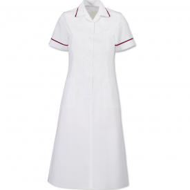 Alexandra square collar dress