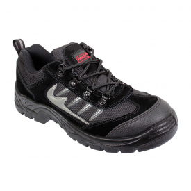 Blackrock Stormchaser trainer