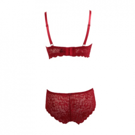 New Sexy Women Lingerie Set Lace Gauze Bra Push Up 3/4 Cup Hook-and- Eye Breathable Ultra-thin bra Underwear