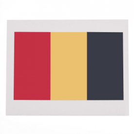 Anself 10pcs/set National Flag Temporary Tattoos Body Face Tattoo Sticker Patriotic Tattoos 16 Countries Optional (Ireland)